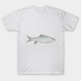 African Scraping Feeder T-Shirt